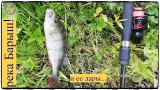 Рыбалка на реке Барыш. Голавль, окунь и Очумелый щуренок!