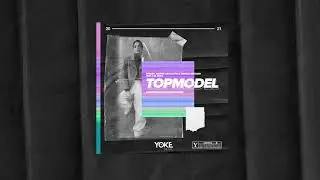 Robaer, Martin Van Lectro & Patrick Metzker feat. Liel Bar-Z - Topmodel