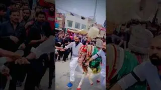10 Muhharram Zuljinah Baramdagi Faisalabad 2024 😭#zuljinah #shorts ##shortsvideo #youtubeshorts