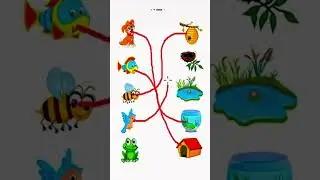 Choose The Right Animal House 🏠 #viralvideo #viralshorts #youtubeshorts #animals