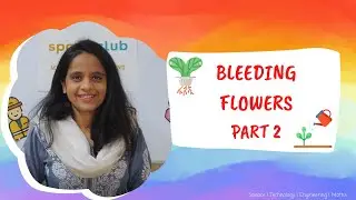 Bleeding Flowers Part 2 Material Required | DIY STEM Experiment For Kids