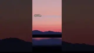 Increíbles avistamientos en medio de esos cerros
