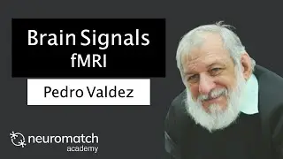 Brain Signals: fMRI
