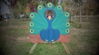 Job's Nursery Pumpkin Patch Festival Event