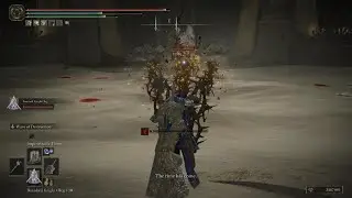 ELDEN RING That was fun