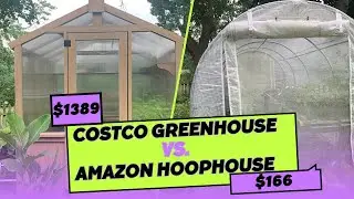 Costco Greenhouse vs Amazon Hoop House: Which is Better?🌻🌸🌺