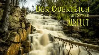 Der Oderteich und seine Überschwemmung
