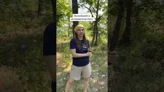 Ghid de echipament pentru supraviețuirea în pădure #ecofriendly #camping #nature