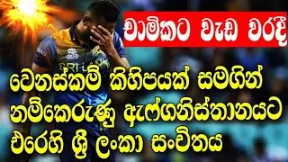 චාමික කන්ඩායමෙන් ඉවතට/ඇෆ්ගනිස්තානයට එරෙහි නම් කෙරුණු ශ්‍රී ලංකා සංචිතය/sl vs afg odi 2022