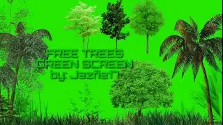 Top Trees Green Screen Effects - Free To Use💚💚💚