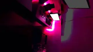 setup transformation