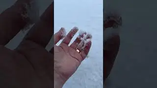 FIRE UP THE FACEBOOK... IT SNOWED
