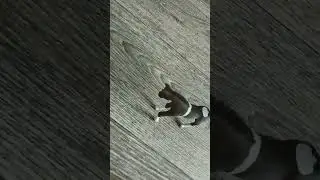 3 серия единороги существуют