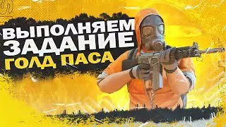 Добиваем 50к. ММ с подписчиками. Общение о Standoff2