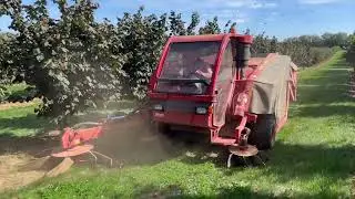 Hazelnut harvest with X16 by AMB ROUSSET