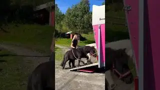 How easy loading 2 horses can be😍 #shortsvideo #horse #pony #pink
