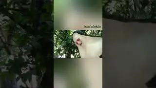 ALASKA PARK SEBAGAI SALAH SATU OBJEK WISATA DI KALIMANTAN SELATAN