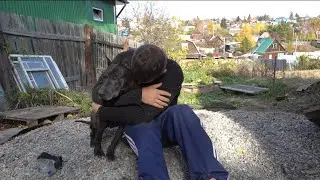 не могу справиться (((