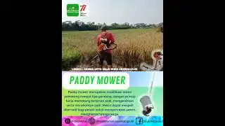 Panen Padi Menggunakan Paddy Mower