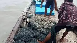 Hidup sebgai nelayan di ROKAN HILIR
