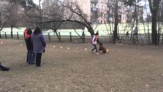 Рыжий Ап 2015