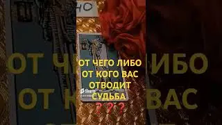 #таро