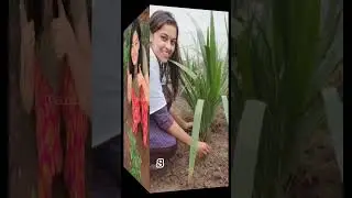 Tamil Actress Planting tress||Save Trees||Tamil editting @tamileditting