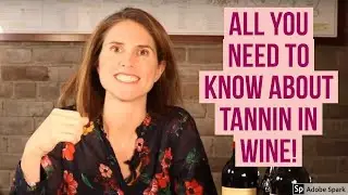 Mastering Wine: What are Tannins in Wine?