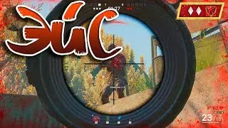SURVARIUM Рейтинговый!
