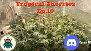 Tropical Zherriez Ep.10