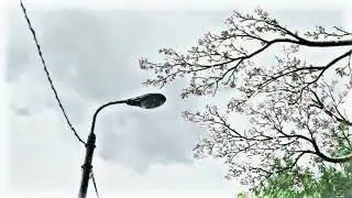 Anime sceneries #animeaesthetic #edit #scenery #4kstatus #devadoothan
