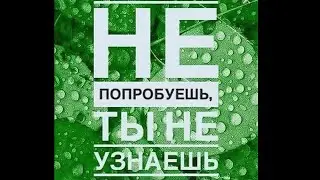Интервью с Александром Фирсовым о компании Гринвей