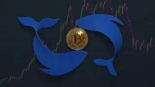 O Mercado de Criptomoedas Ainda Vai Cair Análise Atualizada e O Que Esperar!