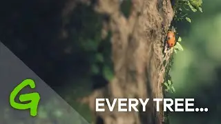 Every tree has a story to tell... - Greenpeace