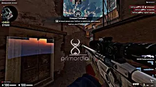 HVH HIGHLIGHTS FT. PRIMORDIAL CRACK PAID CFG UPDATE