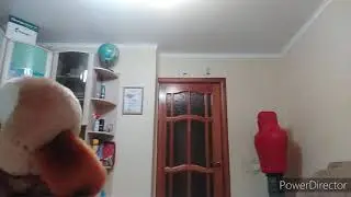 Девочка по имени Настя