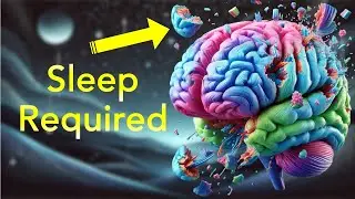 Why Your Brain MUST SLEEP  #Part2