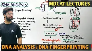 DNA analysis | NMDCAT 2021