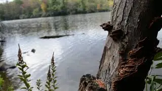 Outdoors: Price Lake