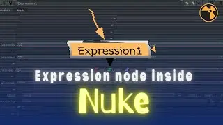 Simplify Your Workflow: Nuke Expression Node Tutorial