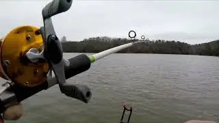 Striper Fishing At Carters Lake | Tough Day, Good Times #fishing