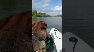 Катаемся на лодке гоняем уток