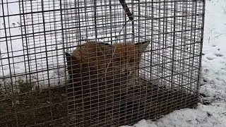 ПОПАЛСЯ! ЕЩЁ БОЛЬШЕ ОБОРУДОВАНИЯ! Назад в прошлое. 