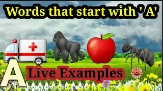 Words that start with A/Live examples/Learn A words for kids/Alphabet video/abc song/A letter word/A