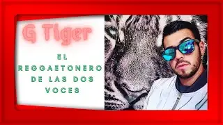 🎰[REGGAETON LATINO] 😉