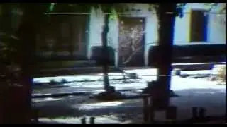 janur-kuning-dvd2