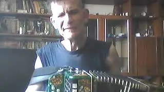 ой ты тайга моя густая гармонь