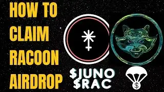 HOW TO CLAIM YOUR RACOON AIRDROP