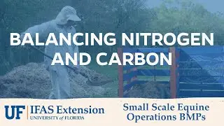 Balancing Nitrogen and Carbon in Compost