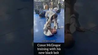Conor McGregor training with his new black belt 